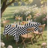 HEIPINIUYE 2 Pack Checkered Tablecloth Disposable 54 x 108 Inch