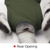 oUUoNNo Cat Wound Surgery Recovery Suit for Abdominal Wounds or