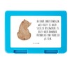 Mr. & Mrs. Panda Lunch box bear shoulder look, gift,