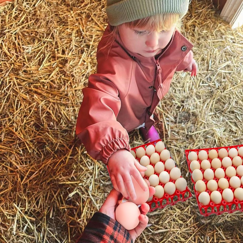 Aqwxc 8-Pack Plastic Egg Tray Egg Crate, 30-Egg Flats for