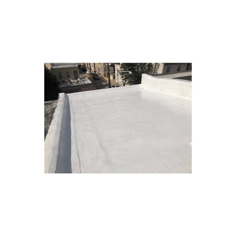 Black Jack Eterna-Kote 100% Silicone+ Roof Coating, White, 1 Gallon,