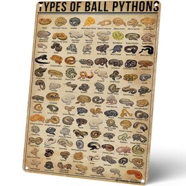 Homely Accents Types Of Ball Pythons Vintage Metal Signs, Quirky Snake Breeds Education Tin Poster Gift for Reptile Enthusiasts, Farmhouse Zoo Wall Decor 16X12 Inch