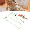 Reptile Pet Leash Kit Christmas Reptile Harness with Skirts Hat