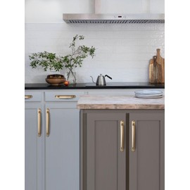 Goo-Ki 5.04" c-c Cabinet Handles Champagne Bronze Drawer Pulls with Back/Base Plate - 2 Pack Arch & Bow Cabinet Pulls with Spacer Zinc Alloy Kitchen Hardware