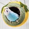 AIMALL Coconut Shell Bird Nest with Colourful Braided Rope and