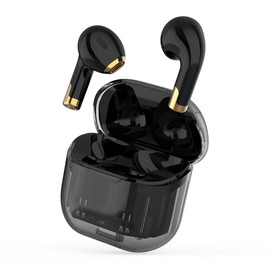 Bangz Apro 11 Noise Cancelling Wireless Earbuds with Mic (Black)