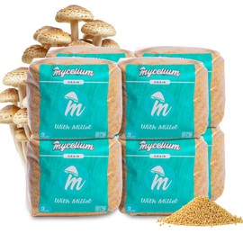 Mycelium Millet Grain Spawn | 2-Pack (5 lb Each) Pre-Sterilized Grain Bags with Self-Healing Injection Ports & 0.2 Micron Filter | Ideal for Bulk Mycelium Cultivation & Fast Mushroom Growth