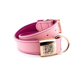 ScanCollar QR Code Pet ID Genuine Leather Smart Collars with Location Tracking with Pet Online Profile, Soft Padded, Stylish, Breathable for Small Medium Large Dogs (Extra Large, Pink & Violet)