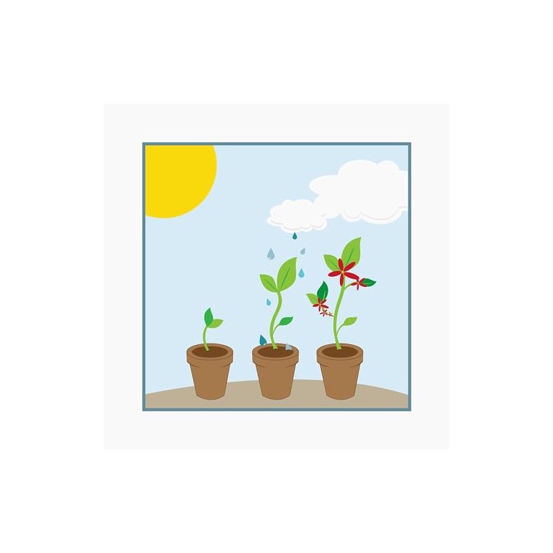 CafePress Seedlings Magnets 2.25" Round Button Magnet (10 pack)