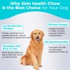 Welsdom Inc. Skin Health Chews for Dogs Omega-3 & Antioxidant
