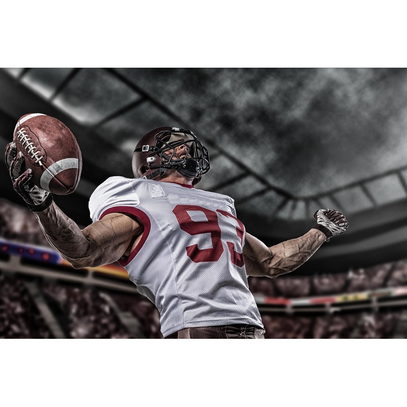 Scale Wear Design Black Stealth Football Receiver Gloves - Grip