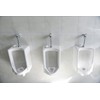 Urinal Screen Deodorizer (12 Pack) with Urinal Cakes Ocean Breeze