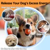 Xihongshi Shaky Ball Toy for Dogs (Cosmic Orange)