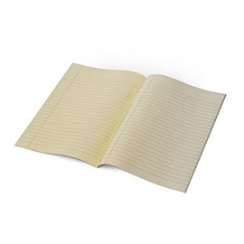 The Dyslexia Shop A4 Lined Paper Exercise Book, 48-Pages 10mm Note Books A4 Lined Visual Stress Aid, Dyslexia Friendly Tinted Paper Ideal for Classroom, Office, Home - 9 Colours