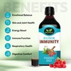 Elixir Immunity – Herbal Food Liquid Supplement with Elderberry, Cardamom