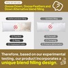 Goose Down & Feather Body Pillows for Adults, Full Length
