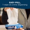 Cottonelle XL Flushable Wet Wipes, Adult Wipes Large, 2 Flip-Top