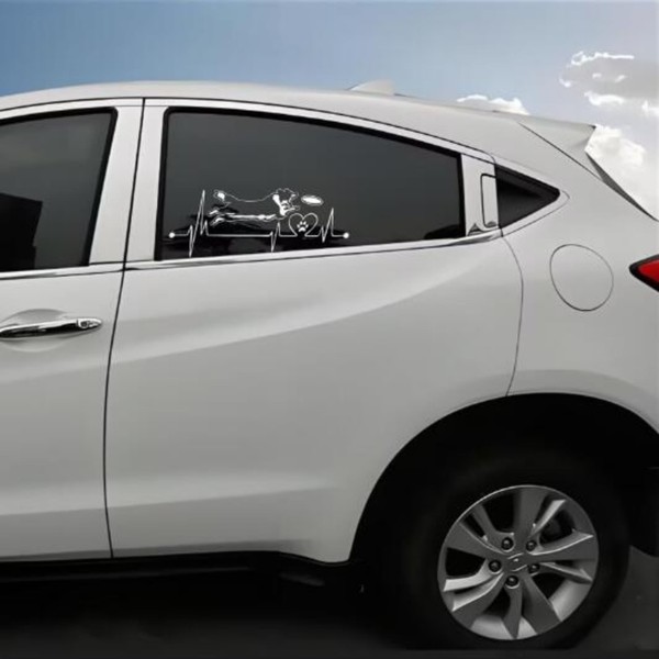 TIZIKJ Autoaufkleber 25cm(9.8 Inch) Border Collie Aufkleber Lustig Border Collie