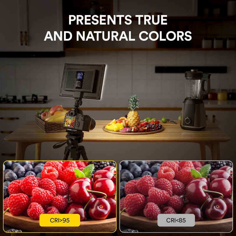 RaLeno Video Light S192