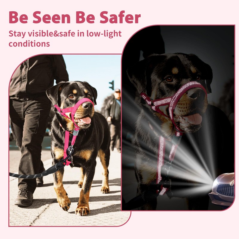 BARKLESS Sturdy No Pull Head Collar for Medium Large Dogs,
