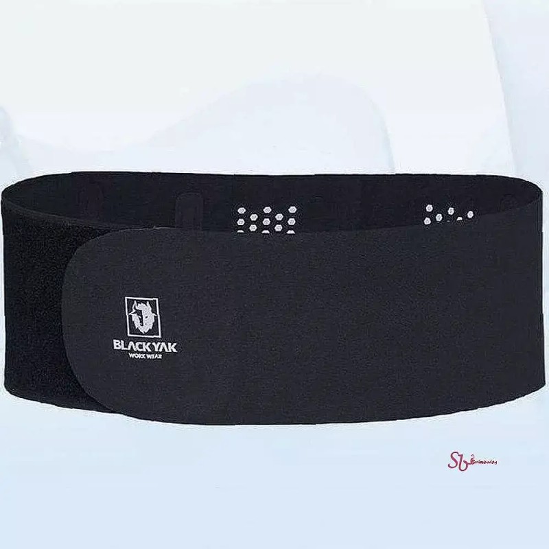 LMN 작업자용 허리 보호대lmn733 Back Support Belt for Workers Lmn733