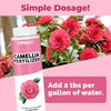 Camellia Fertilizer, Complete Liquid Camellia Plant Food, 8 oz (250mL)