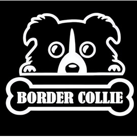 Car Sticker Border Collie White Sticker 15 cm (5.9 Inch) Border Collie White Car Sticker Waterproof Pet Dog Laptop Sticker Border Collie and Bone Car Window Sticker Bumper Decor