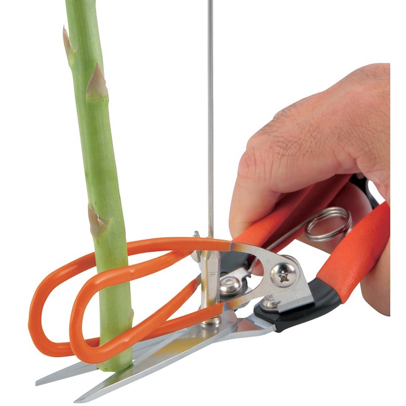 Cactus Asphala Harvest Shears [Measure, Cut, Grab] Increased Harvest Efficiency