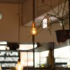 Tsunetani G40 G12.5 Led Filament Mini Globe Light Bulbs 0.5W
