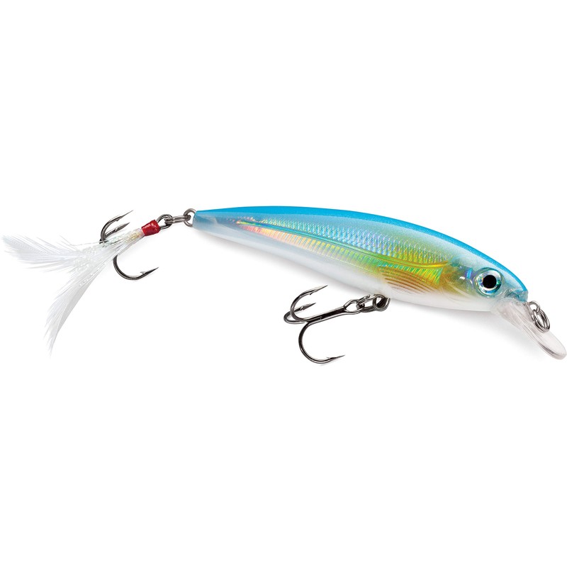 Rapala XR10 X-Rap Lure, Silck
