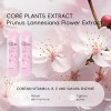 Crema De Manos Japan Sakura Hydra, Tamaño De Viaje, 30