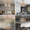18in Modern Round Ceiling Fan Light w/Remote & Timing Champagne-gold