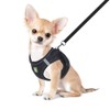 FEimaX Dog Harness with Lead for Small Dogs, Cats, Soft