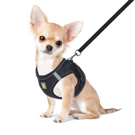 FEimaX Dog Harness with Lead for Small Dogs, Cats, Soft Mesh Puppy Harness, Breathable Chest Harness, Adjustable, Reflective, No Pull Vest, Chihuahua, Cat