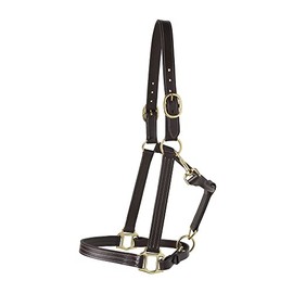 Dover Saddlery Suffolk Triple-Stitched Halter, Color: Brown, Size: Lg Pony