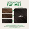 Naturigin Permanent Hair Color, 2.0 Black, Ammonia Free, 100% Gray