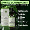 Liquid Chlorophyll Drops – 4-Month Supply | Natural Detox, Gut