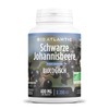 Organic Blackcurrant 1200 mg per Day - Blackcurrant - 200