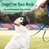 Dog Muzzle, Air Mesh Breathable Muzzle for Medium Large Sized