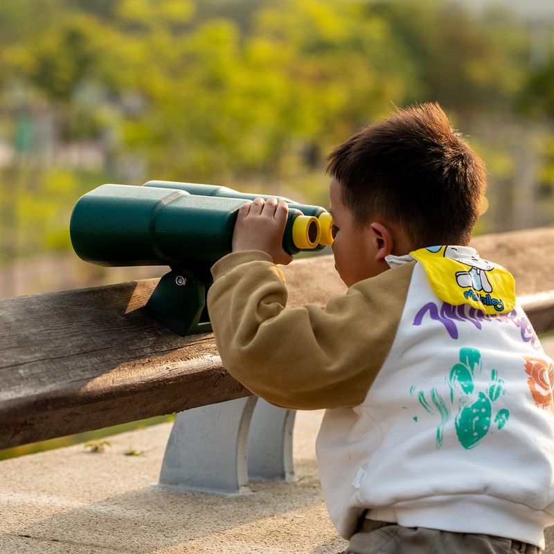 Green and Yellow Plastic Outdoor Gym Playground Pirate Ship Double