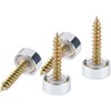 Cosmos 4 Pair Decorative Screw with Caps Used as Mirror