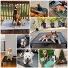 Elevated Dog Bed Raised Outdoor Dog Cot for Large Dogs,