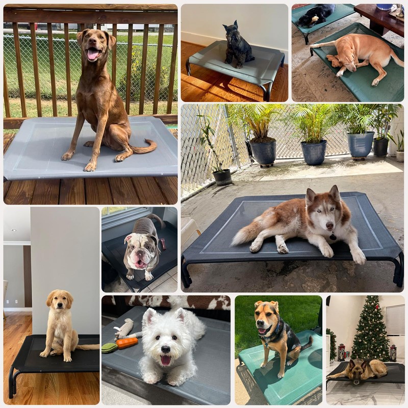 Elevated Dog Bed Raised Outdoor Dog Cot for Large Dogs,