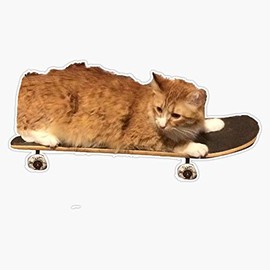 Ollie The Skateboarding Cat Waterproof Vinyl Window Bumper Sticker Decal 5"