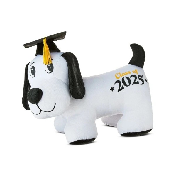 Way To Celebrate Graduation Class of 2025 Black and White