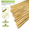 Jollybower 10pcs 1" D Thicker Heavy Duty Bamboo Stakes, 8FT