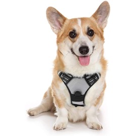 rabbitgoo Dog Harness for Medium Dogs, Anti-Pull Dog Harness with Control, No-Pull, Adjustable Harness for Large Dogs, Breathable, Reflective Stripes, Chest Harness, Dog Safe Guide, Grey, M