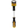 Roughneck ROU22141 Screwdriver - Pozi® PZ1x75mm