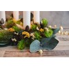 VBS Pina Fir Wreath, Plastic Fir Wreath, Diameter 30 cm,