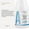 Salerm Hairlab Neutral Balancing Shampoo, 10.6 Ounce/300 ml